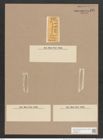 Navicula directa var. sutbilis (Greg.) Cleve. (de-Toni-Nr.: Genus 1, Species 44) Zeichnungen Sammlung Grunow Nr. 120 (NHMW-BOT-W0366334)